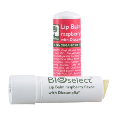 Lip Balm Raspberry Flavor 4 g