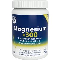 Magnesium 300 60 kap