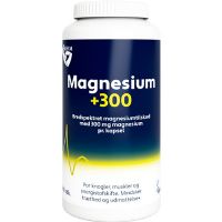 Magnesium 300 160 kap
