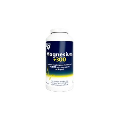 Magnesium 300 250 kap