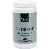 Artiskok 90 kap