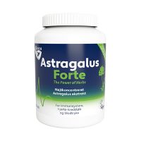 Astragalus Forte 120 kap