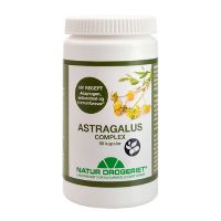 Astragalus complex 90 kap