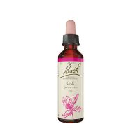 Bach Stilk Eg 10 ml