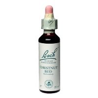 Bach Kastanieknop (Chestnut 20 ml