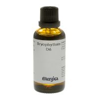 Bryophyllum D6 50 ml
