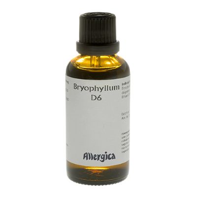 Bryophyllum D6 50 ml