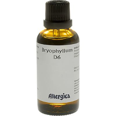 Bryophyllum D6 50 ml