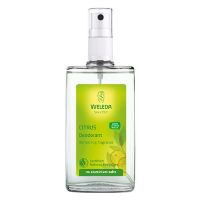 Deo Spray Citrus Fresh 100 ml