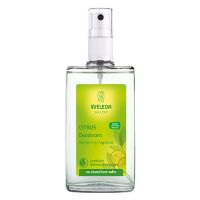 Deo Spray Citrus Fresh 100 ml