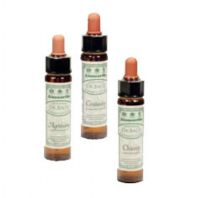 Dr. Bach Klematis Engholm 10 ml