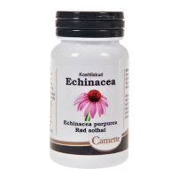 Echinacea 90 tab