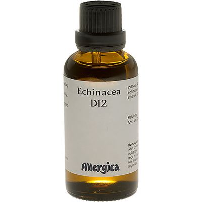 Echinacea D12 50 ml