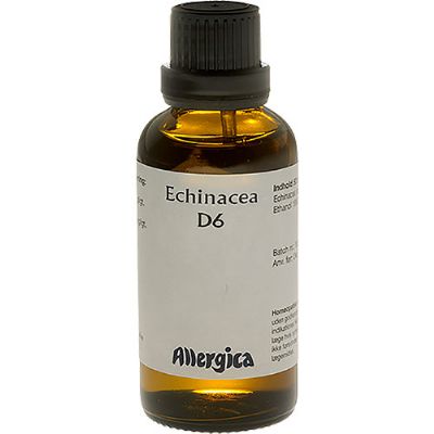 Echinacea D6 50 ml