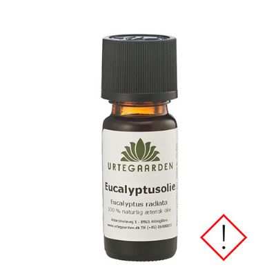 Eucalyptusolie 10 ml