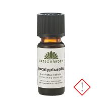 Eucalyptusolie 30 ml