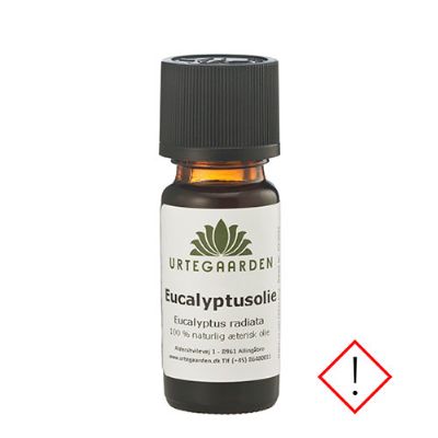 Eucalyptusolie 30 ml