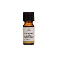 Eucalyptusolie æterisk øko 10 ml