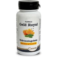 Gelé Royal m. Salvie Vitamin B6 Camette 120 kap