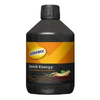 Gerimax Instant Energy 400 ml