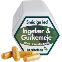 Ingefær & Gurkemeje Berthelsen 60 kap