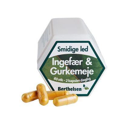 Ingefær & Gurkemeje Berthelsen 60 kap