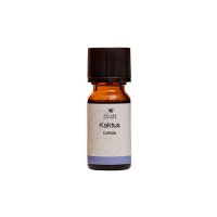 Kaktus duftolie 10 ml