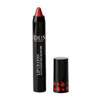 Lip Crayon Birgit 404 2 g
