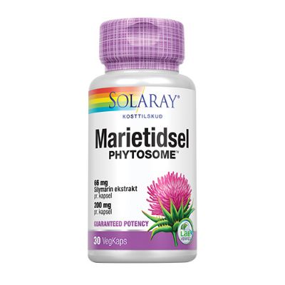 Marietidsel Phytosome 30 kap