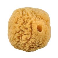 Natursvamp 10-12 cm 1 stk