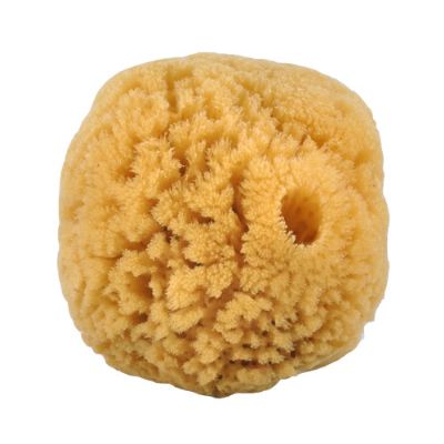 Natursvamp 10-12 cm 1 stk