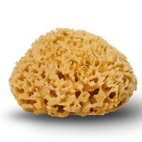 Natursvamp Honeycomb 10-11 cm 1 stk