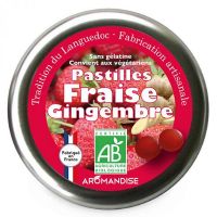 Pastiller m. jordbær & ingefær økologisk 45 g