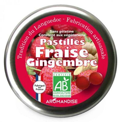 Pastiller m. jordbær & ingefær økologisk 45 g