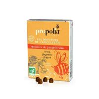 Propolis sugetabletter m. Ingefær økologisk 45 g