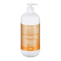 Shampoo Strength & Shine Familly orange & coconut Sante 950 ml