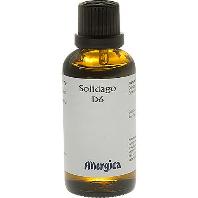 Solidago D6 50 ml