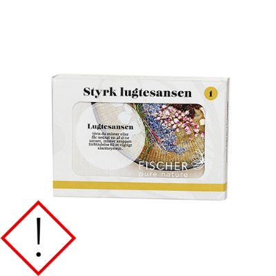 Styrk lugtesansen kit 1, 4 x10 ml æteriske olier 1 pk