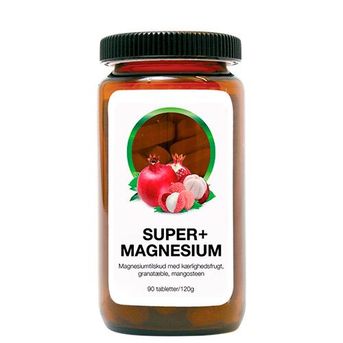 prince magnesium pro 90