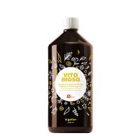 Vita Biosa Ingefær økologisk 1 l